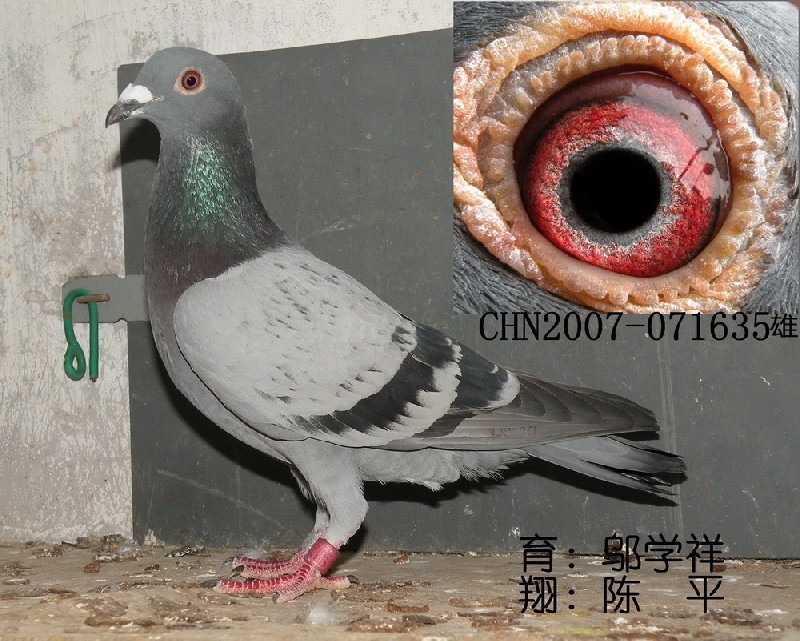 ڶƽӭh(hun)̖(ho)071635.c(din)ɰ