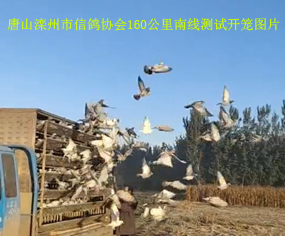 ɽf(xi)(hu)160Ͼyԇ_\֪ͨ