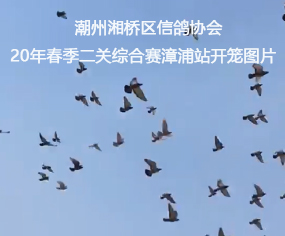 ^(q)f(xi)(hu)20괺P(gun)Cِվ_\DƬ