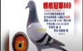 _(ti)ِ20ļI(lng)ِP(gun)pp