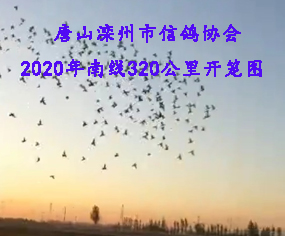 ɽf(xi)(hu)Ͼ320_\
