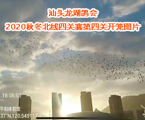 ^(hu)--2020ﶬP(gun)ِP(gun)ƽꖣ_\