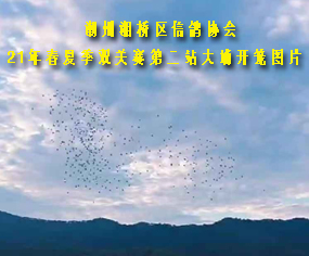 ^(q)f(xi)(hu)21괺ļpP(gun)ِڶվ_\