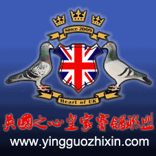Ӣ(gu)֮(yingguozhixin)